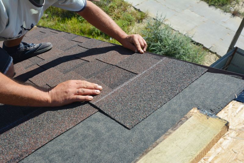Asphalt Shingle Repair Expert