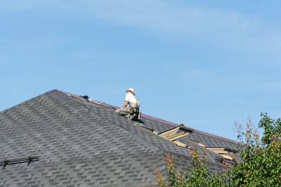 Roofing Professionals at Work